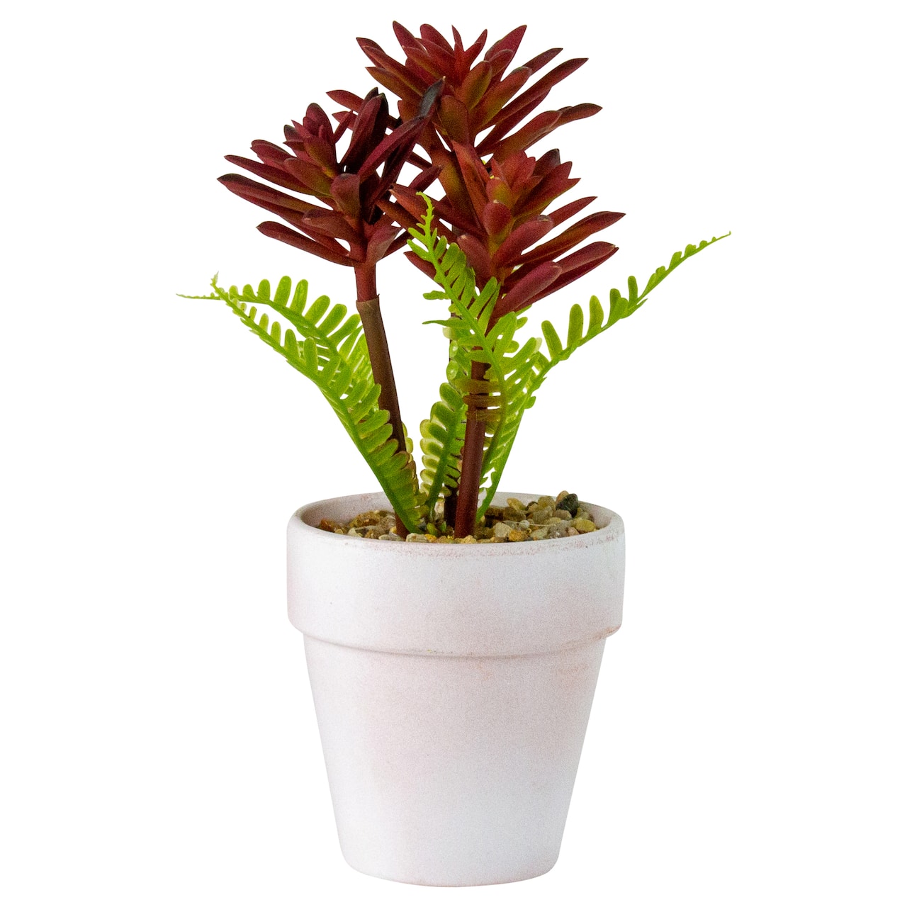 8" Red And Green Succulent Fern In Ceramic White Pot
